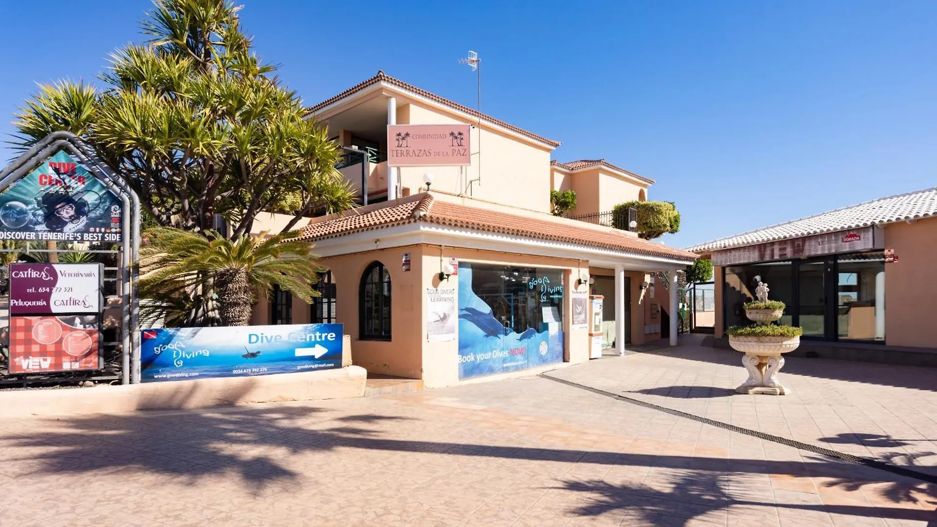 Nice Apt With Terrace In Golf Del Sur San Miguel de Abona 0*,  Spain